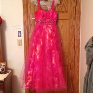 Pink Tulle Ball Gown with Floral Underlay